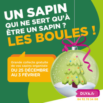 DLVA_PUB-Sapin_NOV2022_RS_1200px